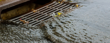 Plumber Bankstown