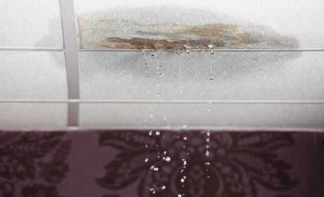 Plumber Bankstown